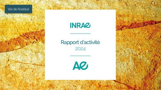 Rapport d'activité 2024 INRAE