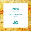 Rapport d'activité 2024 INRAE